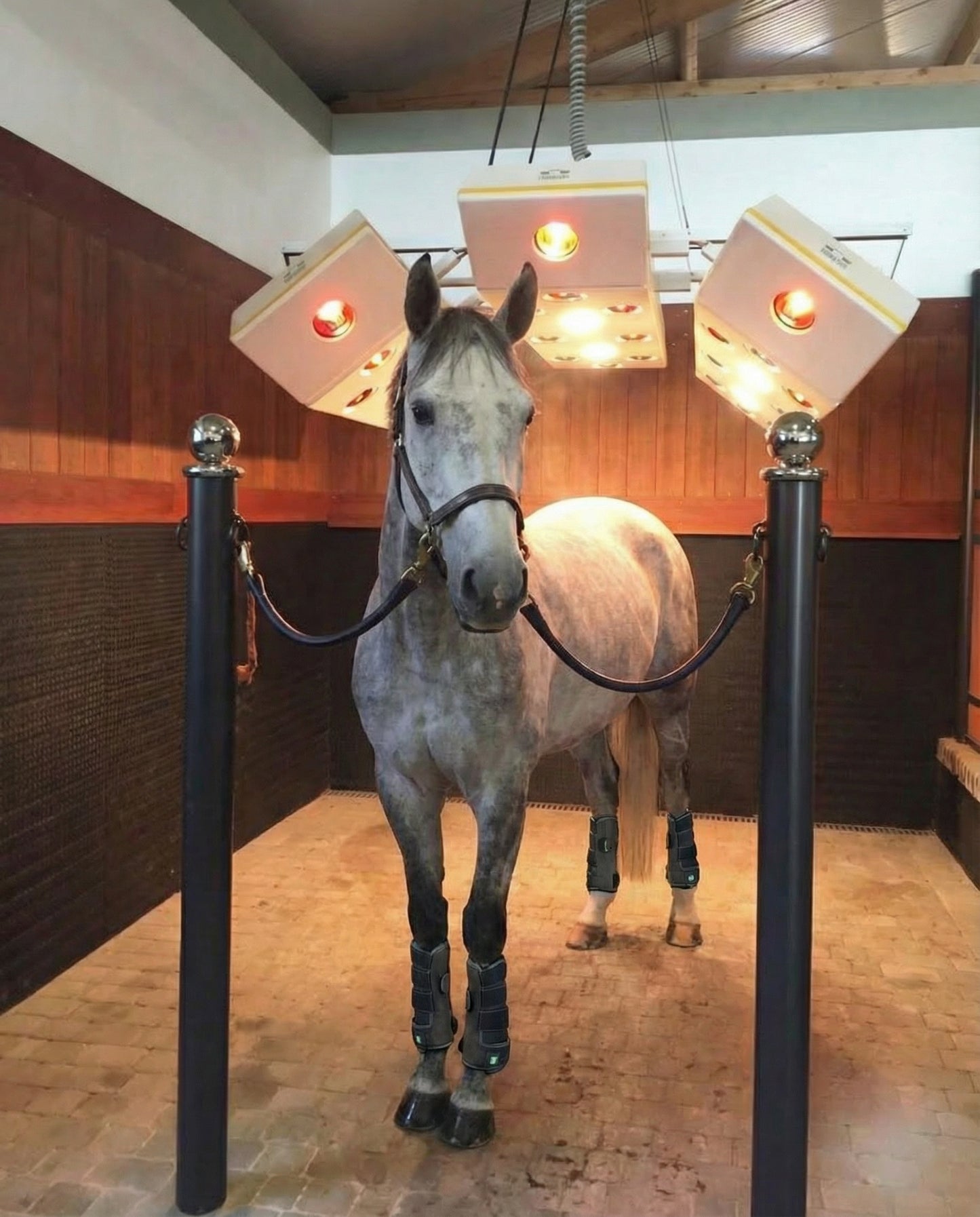 Equiro InfraLens™ LED Therapy Boots